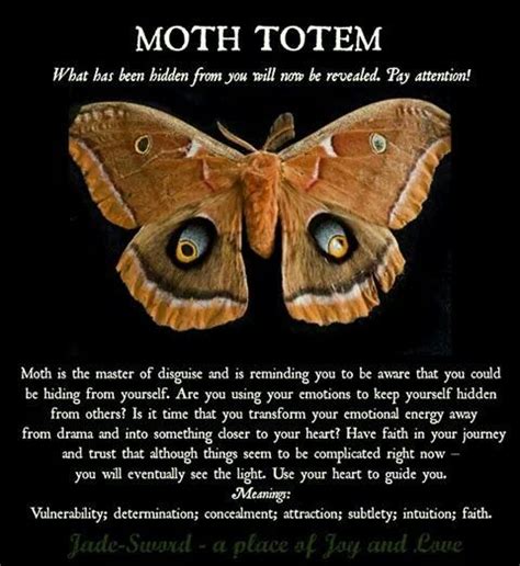Black witch moth meaning